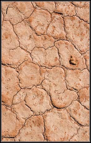 Footprints