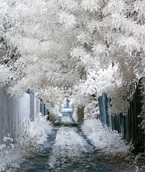 Mysterious lane