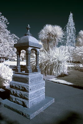 Park